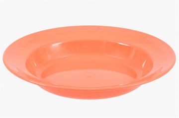 Picture of DEEP PLATE 22CM CORAL